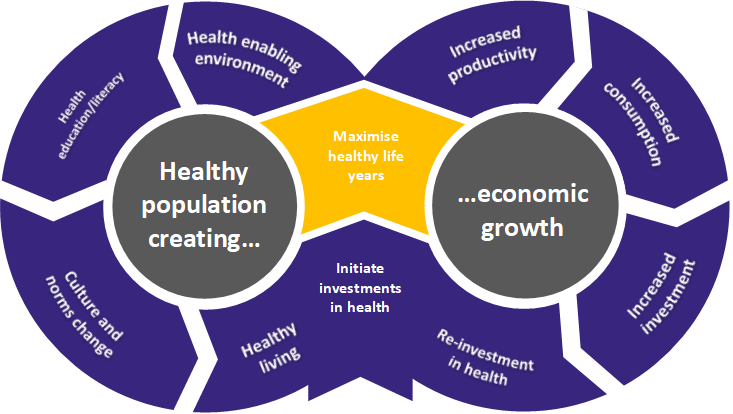 How healthy populations create economic growth