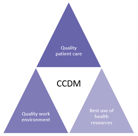CCDM fundamentals which underpinn safe staffing and healthy workplaces for nursing and midwifery staff